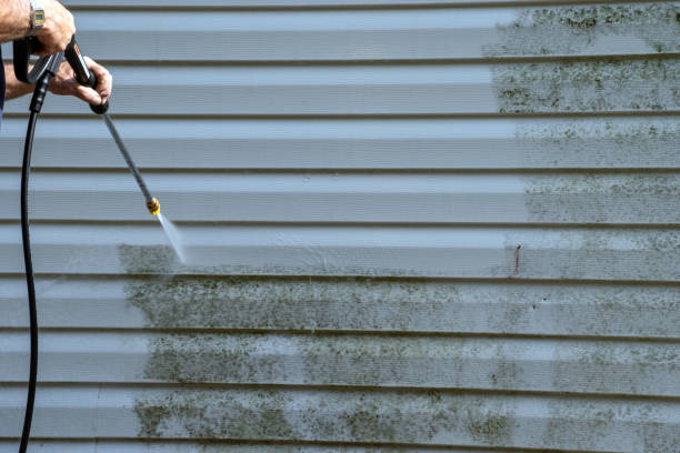 Best Basement Cleanout  in Hartselle, AL