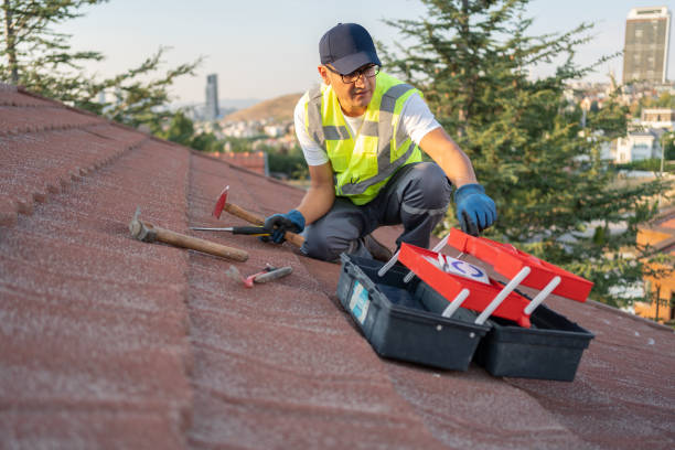Best Yard Waste Removal  in Hartselle, AL